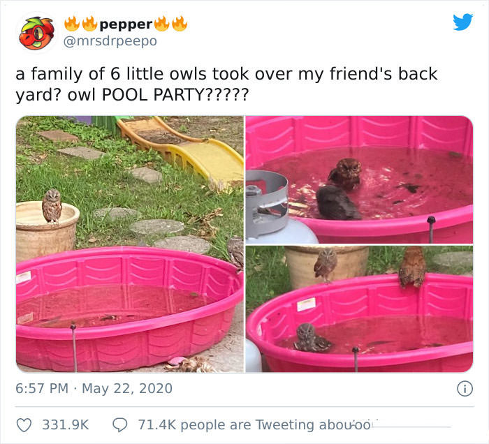 Pool party.