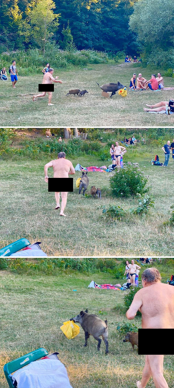 A nudist bather chased a wild boar near a Berlin lake after it stole his laptop.
