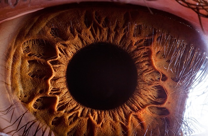 Eye closeup