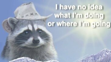 Raccoon Memes