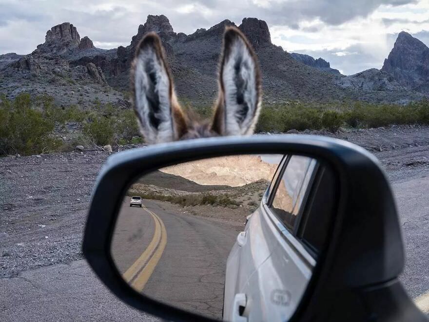Your side mirror seems to have listening capabilities now.