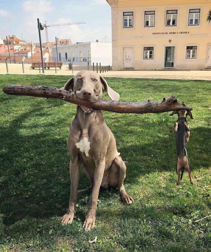 Branch manager.