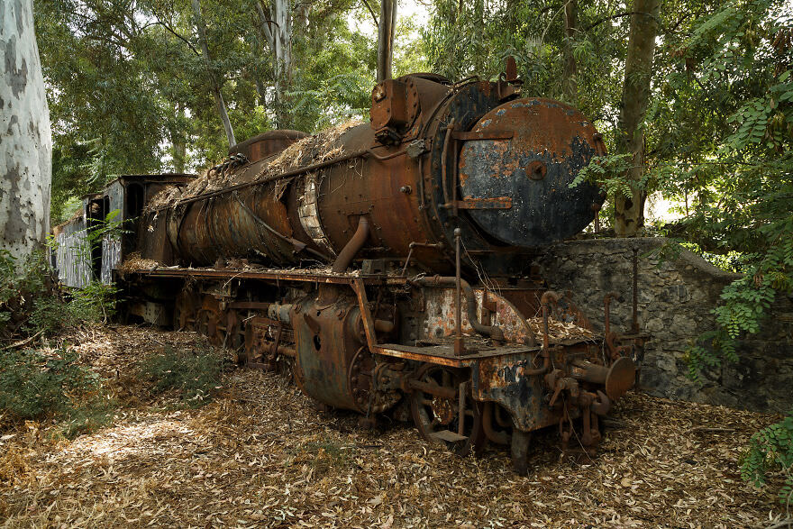 Rusted Rails: A Photographic Journey Through Train Graveyards