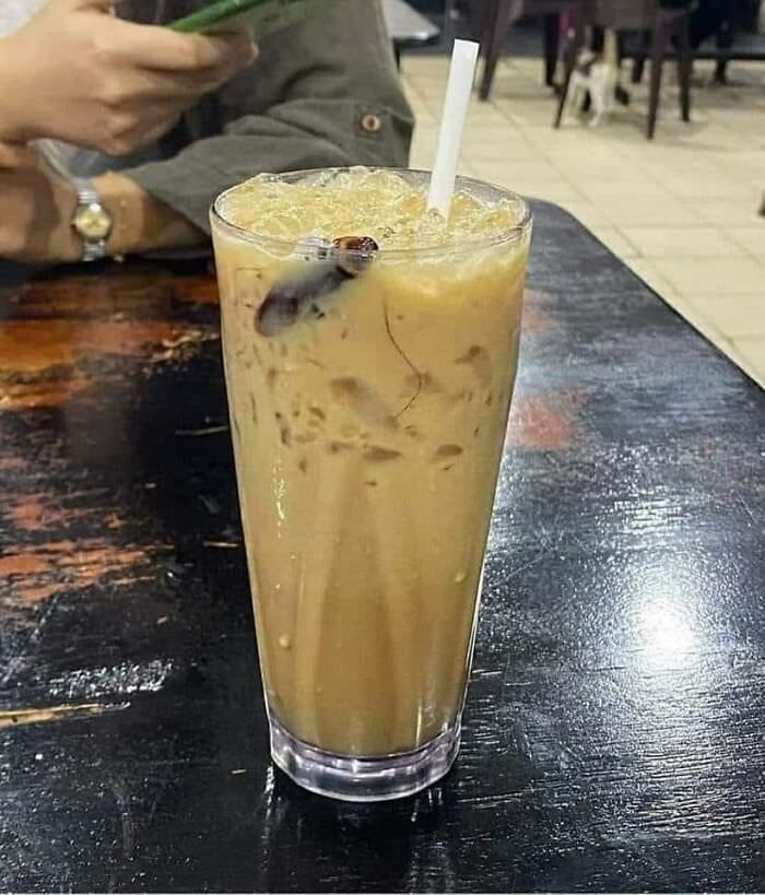How's your cockroach infuzed iced coffee goin'?