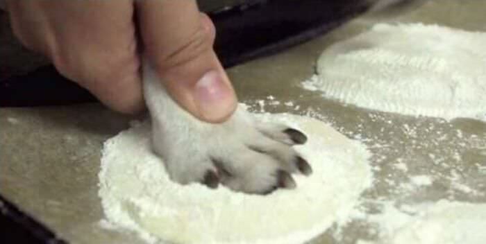 I can’t wait for the office potluck! People always ask me how I make the paw print sugar cookies so perfect!