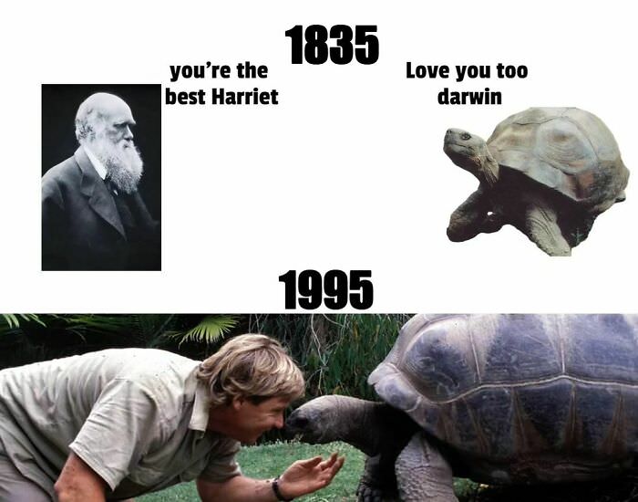 Insane to think Charles Darwin and Steve Irwin both owned the same tortoise.