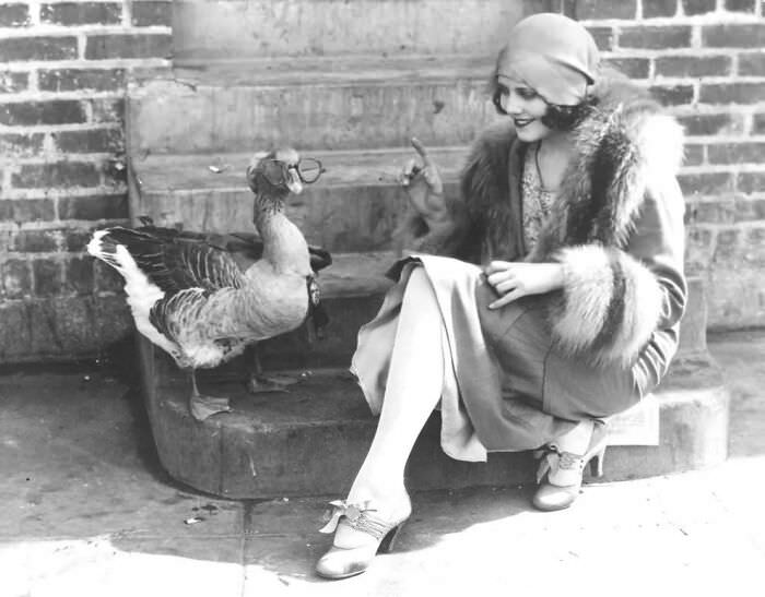 Film actress Fay Webb with her pet goose, which is wearing an attractive pair of glasses, 1925.