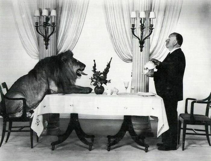 Alfred Hitchcock serving tea to Leo the Lion (the mascot for the Hollywood film studio MGM), 1957.
