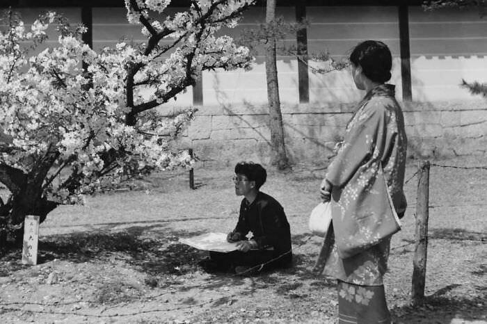 A student sitting under a cherry tree sketching the blossom as a woman in a kimono looks on, Japan, 1950s.