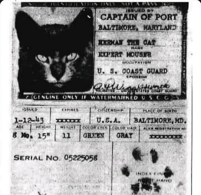 Cats that sailed on ships until the mid-20th century to catch rodents had passports signed with their paw prints.