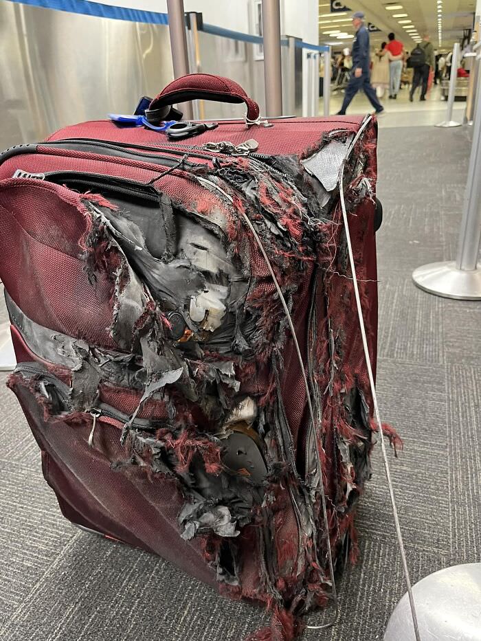 My uncle's suitcase after his flight.