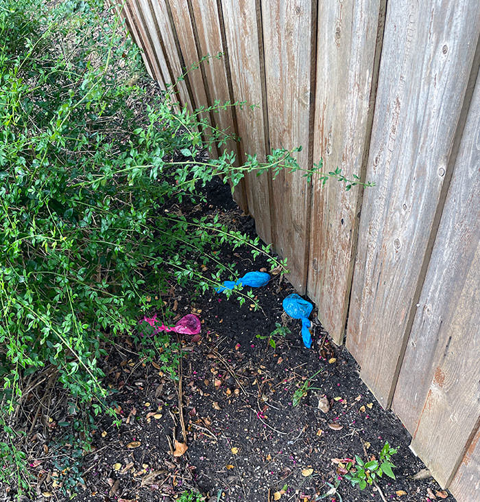 Some jerks leave their bags of dog poop behind a bush. Why even bag them up if you're going to do this?