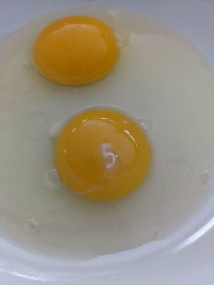 My raw egg has the number 5 on its yolk.