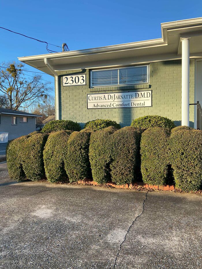 This dental office trims their shrubs to look like molars.