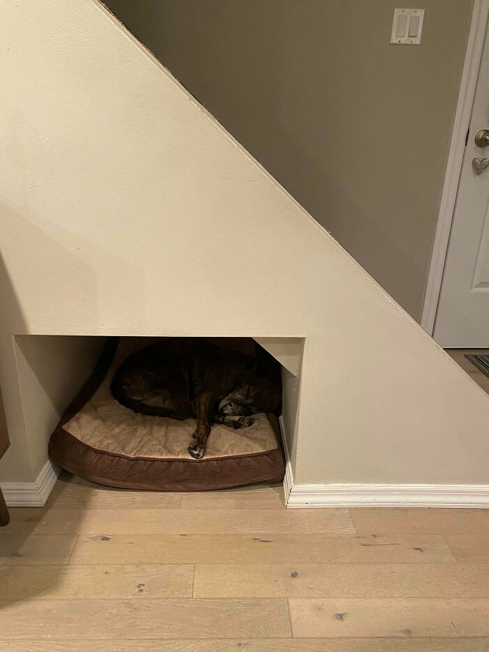 We have a bedroom for my dog under the staircase.