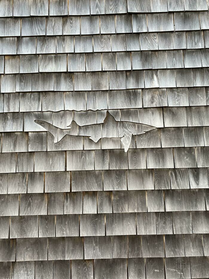 This shark outline in wood siding.