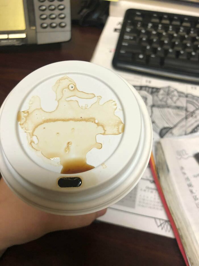 The way my coffee spilled this morning looks like a duck.
