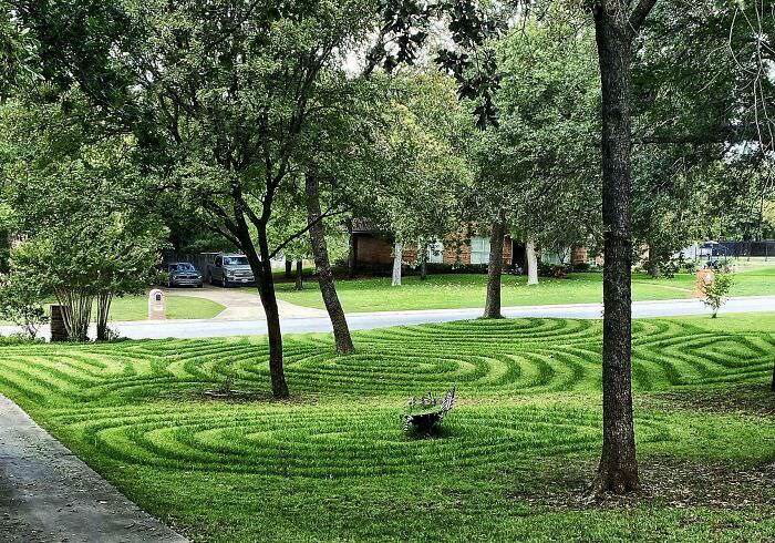 The way my mom mows crop circles into the lawn.