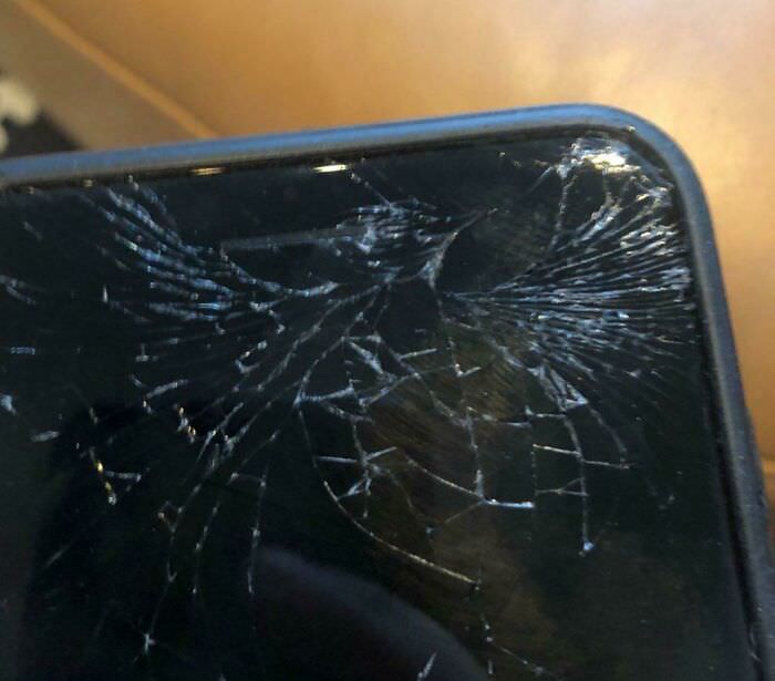 Dropped my phone, and the crack it made kind of looks like a hummingbird.