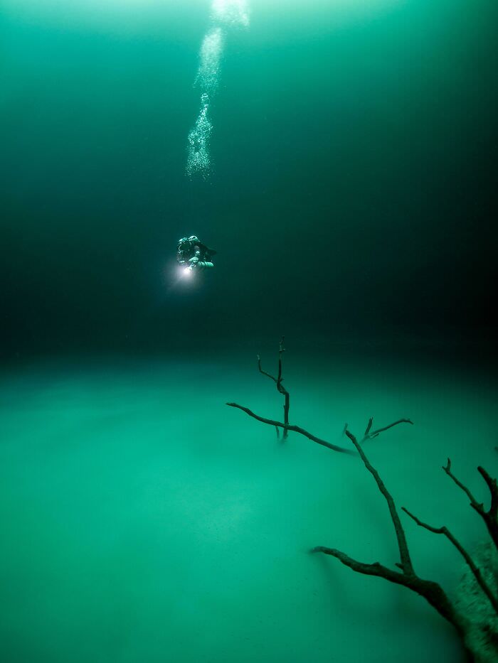 Brine pools at the bottom of the sea.