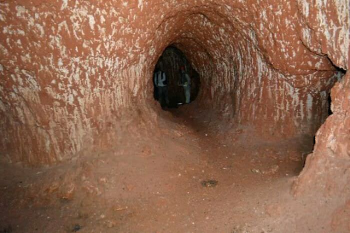 A tunnel dug by the giant ground sloth in Brazil (10,000 years ago).
