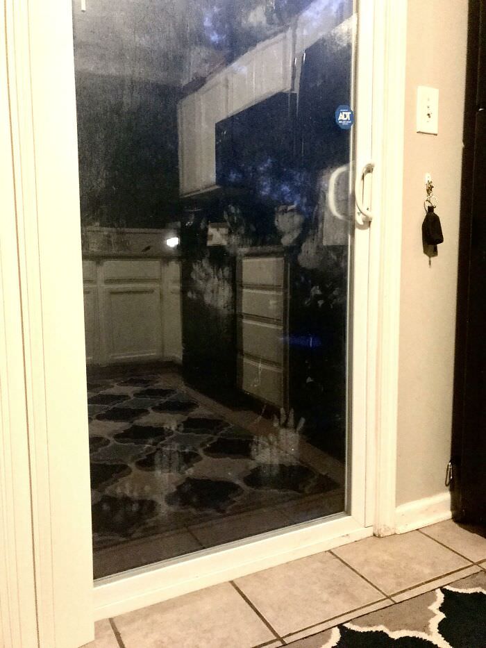 These hand/paw prints on my back door.