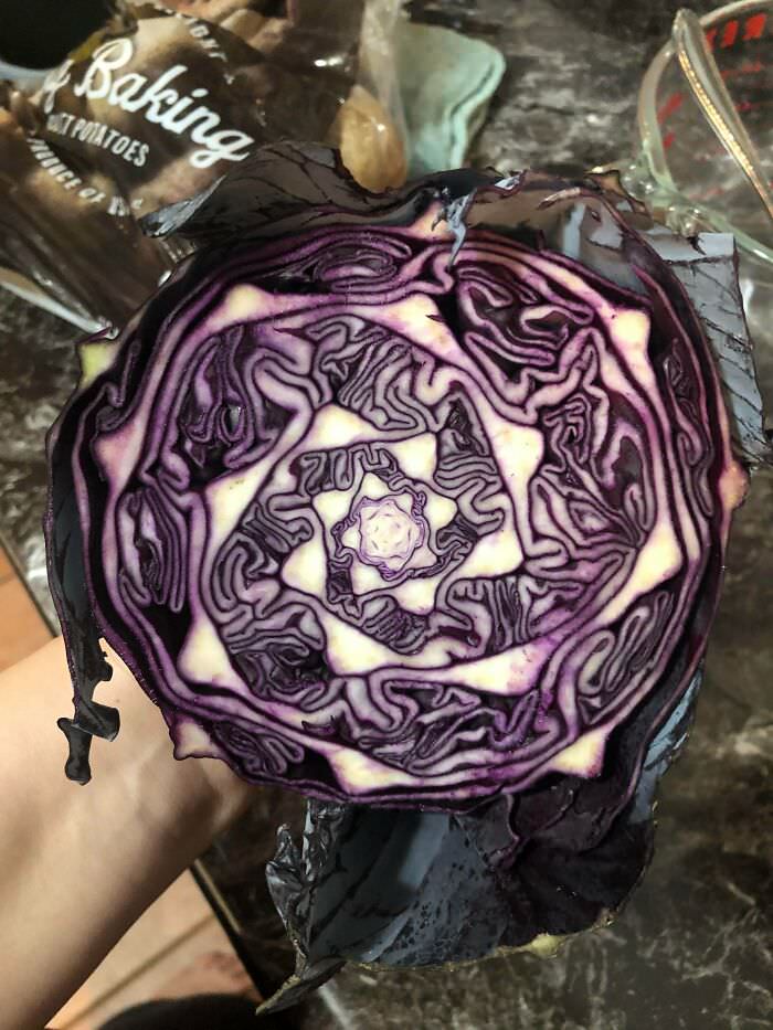 The inside of my purple cabbage.