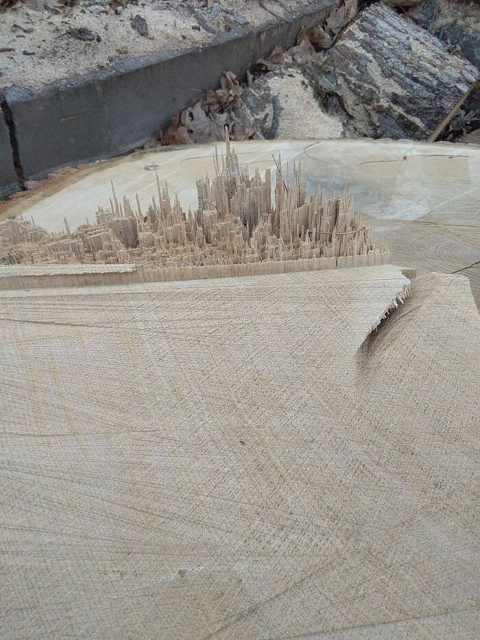 The way this tree stump has a cityscape on it.