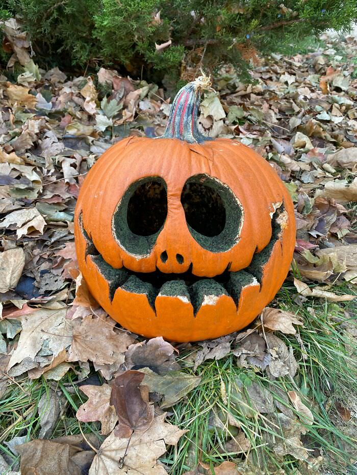 The way this pumpkin has rotted is just creepy.