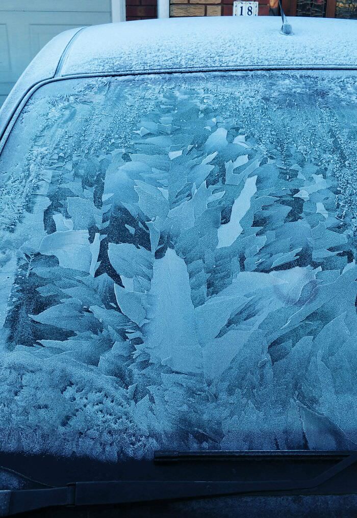 The pattern of the ice on my windscreen this morning.