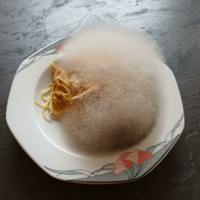 Forgot spaghetti with mushrooms in the microwave for a week. Now it's a floofly ball of mold.