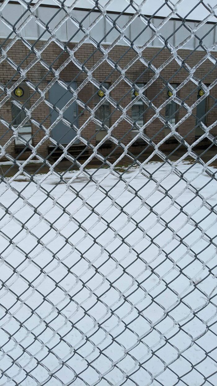 The way this water froze to the fence.