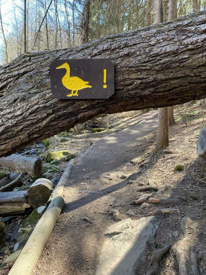 This sign telling me to "duck."