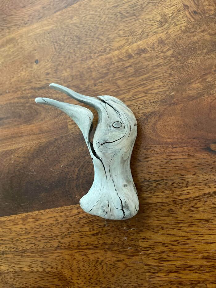 A piece of driftwood that looks just like a seagull.
