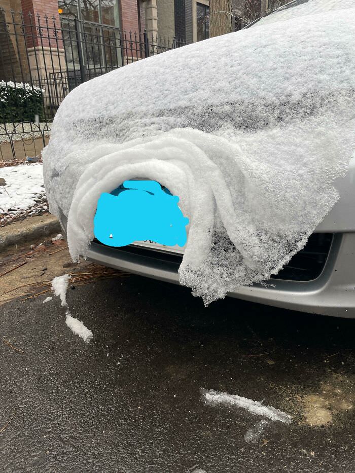 The way the snow blanketed around this license plate looks so delicate.