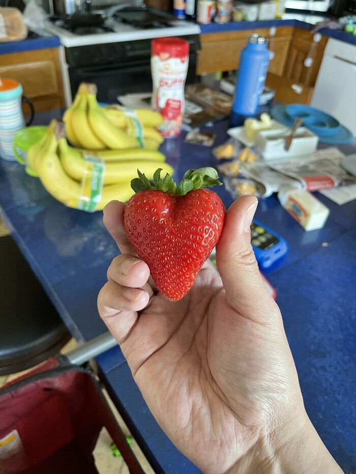 This strawberry that's a perfect heart shape.