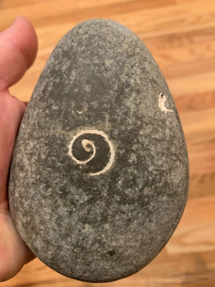 This rock I found has a shell inside it, and it’s been worn away to a flat spiral in appearance.