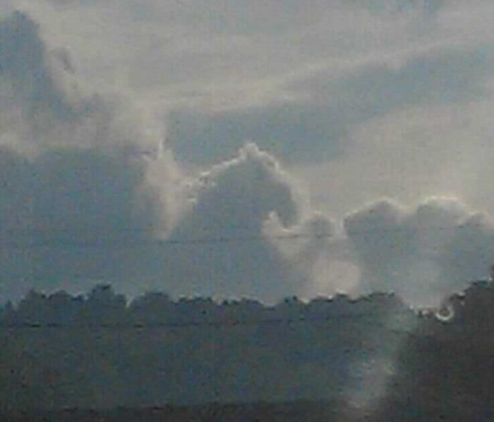 This picture of a cloud I took in 2011 that looks like a horse arm wrestling a beaver.