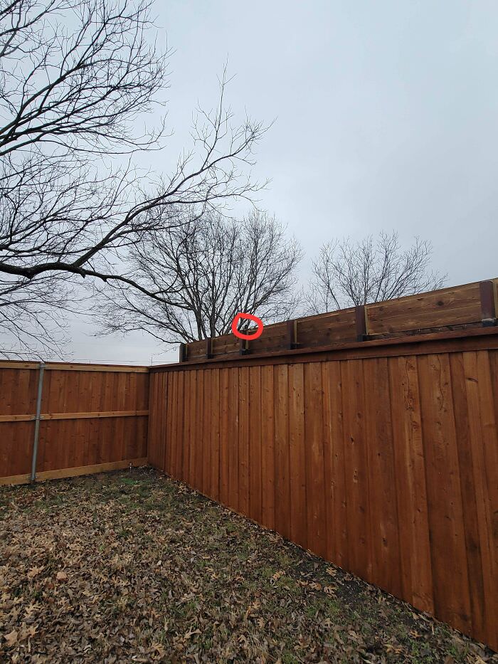 Built a 7-foot privacy fence. Neighbor raised his by 2 feet and put a camera facing into my backyard.