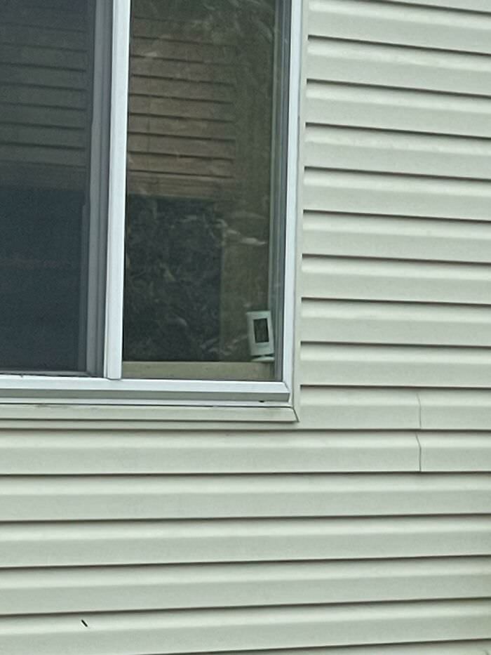Neighbor installed two cameras pointed directly at our basement windows.