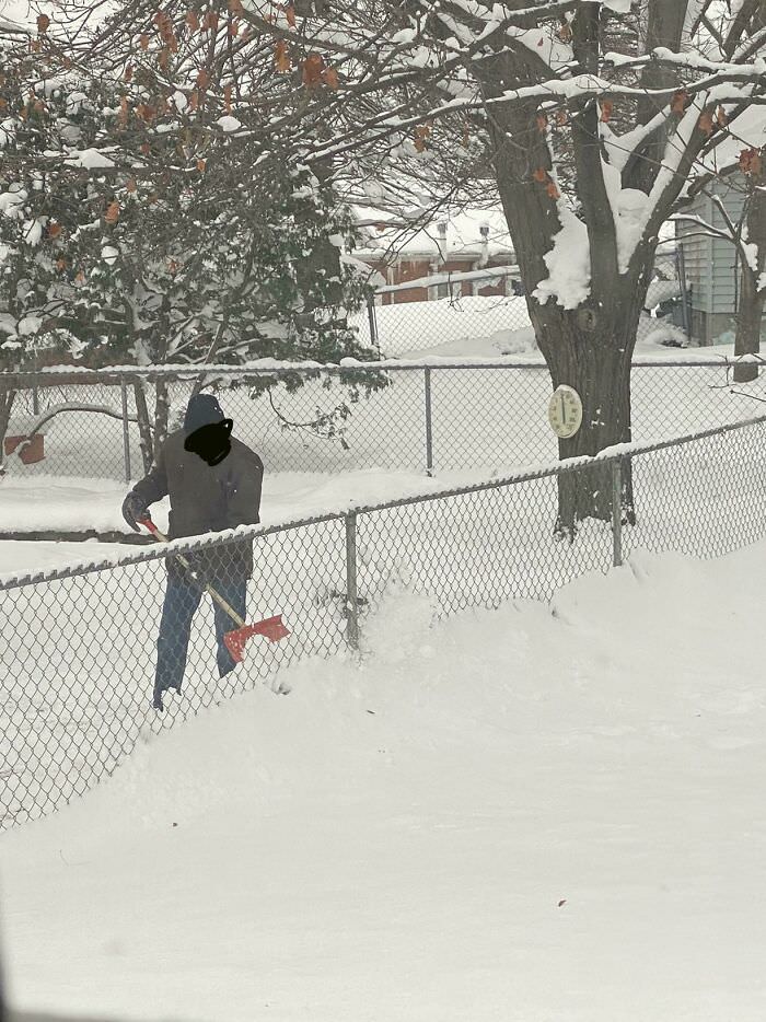 My neighbor shoveling his backyard into mine.