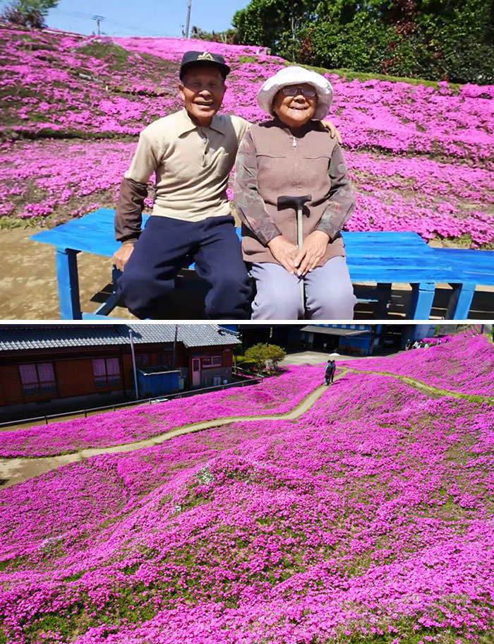 Husband spends 2 years planting thousands of scented flowers for his blind wife to smell and get her out of depression.