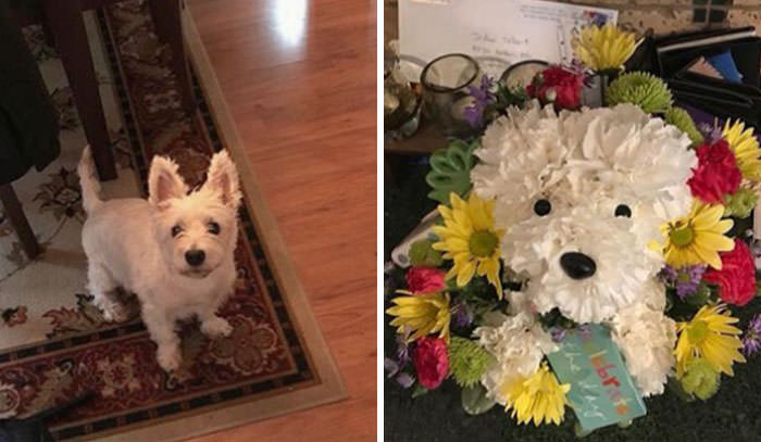 My dog passed away last month and my boyfriend got me flowers in the shape of my dog, and I am in love.