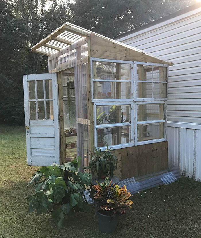 Husband built me a greenhouse for my succulents. Much needed when it monsoons every single day in Mobile, AL.