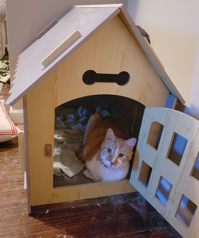 My husband built this house for our cat as a Christmas present. Stan is always a content meatloaf in his little home.