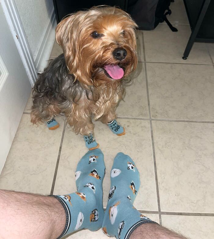My dog and I got matching socks for Christmas.
