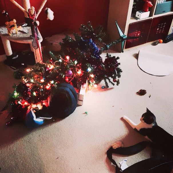 Cat 1 - Christmas Tree 0.