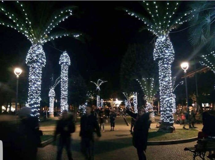 Why you don't put Christmas lights on palm trees.