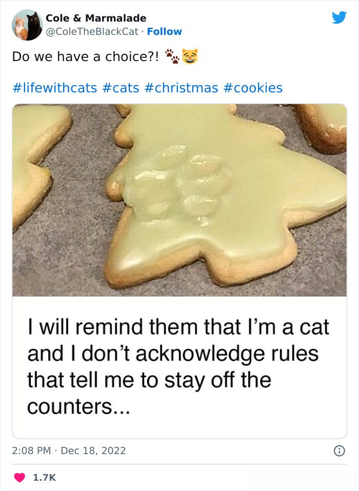 X Users Share Their Funniest Christmas Experiences in These Viral Posts