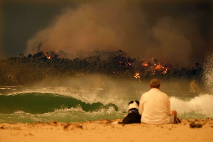 A man and his dog during the Australian wildfires.